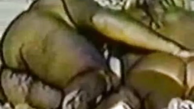 bbw a mangé une bite de proxénète x video streaming gratuit noir pour manger un morceau