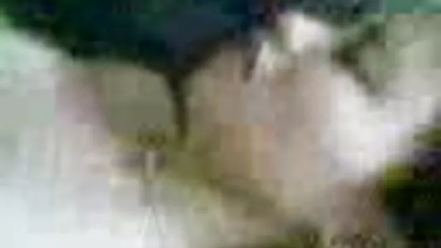 Vintage video amateur x gratuit ébène en action lesbienne et à trois