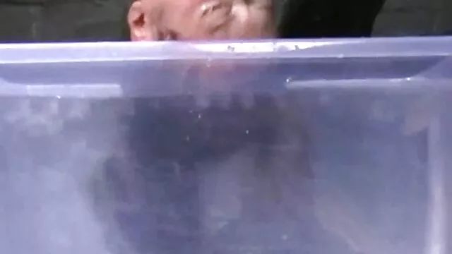 Strapon et doigts fellation video x